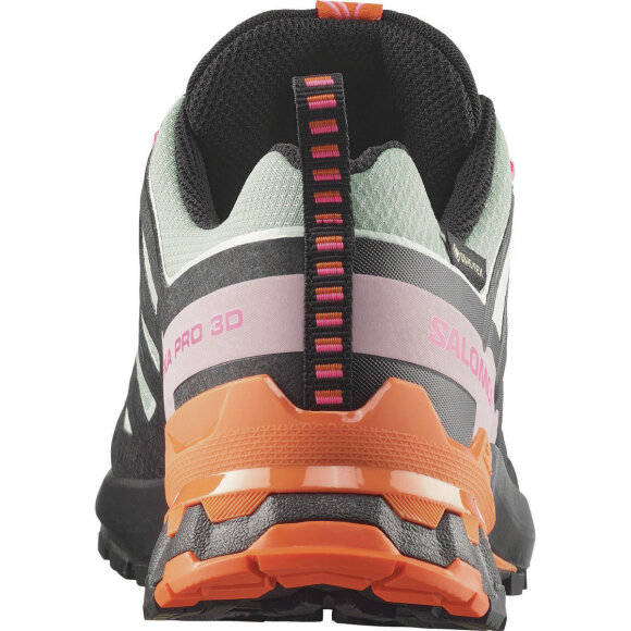 Salomon XA Pro 3D V9 GTX Icon W