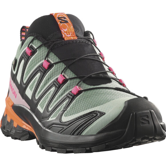 Salomon XA Pro 3D V9 GTX Icon W