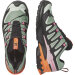 Salomon XA Pro 3D V9 GTX Icon W