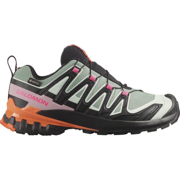 Salomon XA Pro 3D V9 GTX Icon W