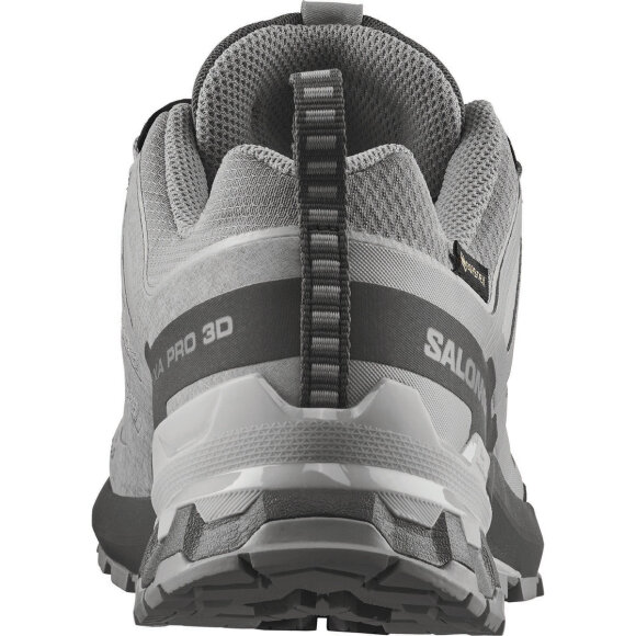 Salomon XA Pro 3D V9 GTX W Alloy