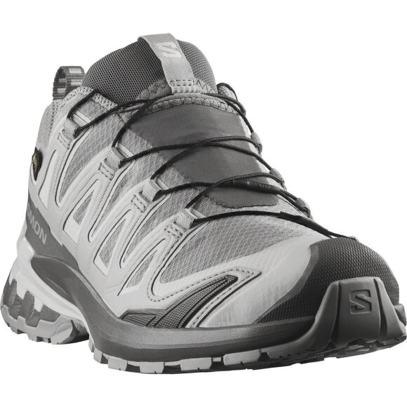 Salomon XA Pro 3D V9 GTX W Alloy