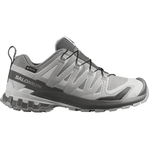 Salomon XA Pro 3D V9 GTX W Alloy