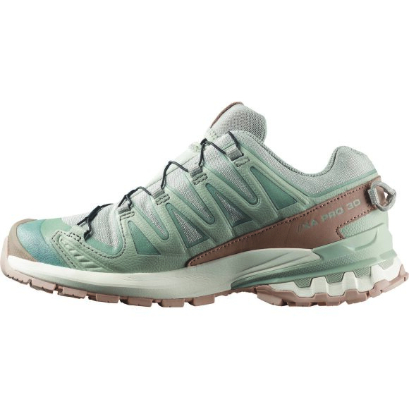 Salomon XA Pro 3D V9 GTX Lifelong W Wrought Iron