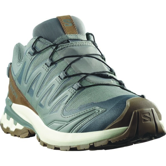 Salomon XA Pro 3D V9 GTX Lifelong M Sedsa/Coyote