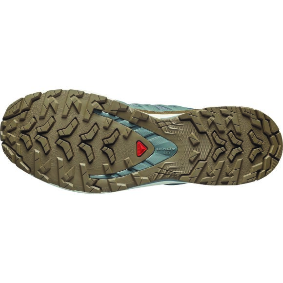 Salomon XA Pro 3D V9 GTX Lifelong M Sedsa/Coyote