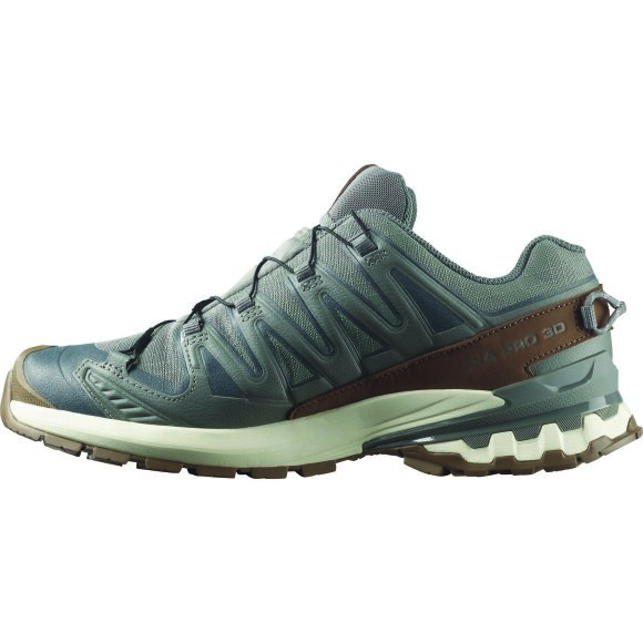 Salomon XA Pro 3D V9 GTX Lifelong M Sedsa/Coyote