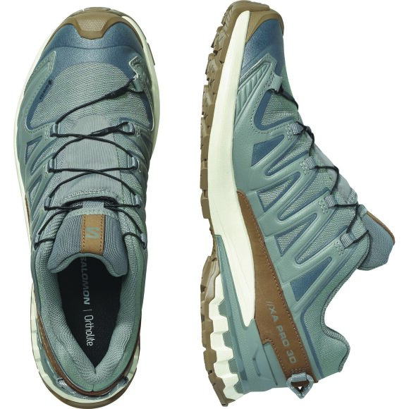 Salomon XA Pro 3D V9 GTX Lifelong M Sedsa/Coyote