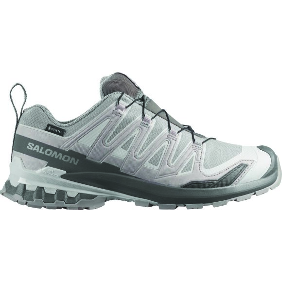 Salomon XA Pro 3D V9 GTX Alloy/Carstleroc