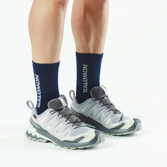 Salomon XA Pro 3D V9 GTX Alloy/Carstleroc