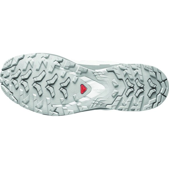 Salomon XA Pro 3D V9 GTX Alloy/Carstleroc