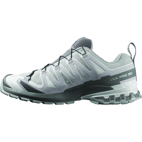 Salomon XA Pro 3D V9 GTX Alloy/Carstleroc