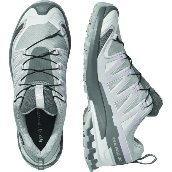 Salomon XA Pro 3D V9 GTX Alloy/Carstleroc