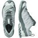 Salomon XA Pro 3D V9 GTX Alloy/Carstleroc Salomon XA Pro 3D V9 GTX Alloy/Carstleroc