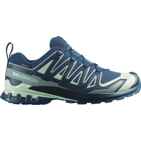 Salomon XA Pro 3D V9 GTX Spellbound