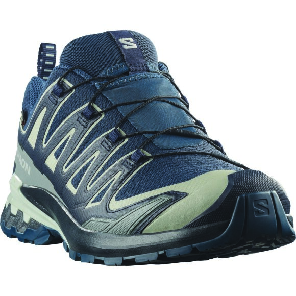 Salomon XA Pro 3D V9 GTX Spellbound
