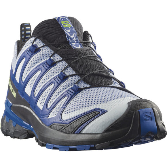 Salomon XA Pro 3D V9  Icon Black