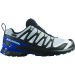 Salomon XA Pro 3D V9 GTX Icon Black