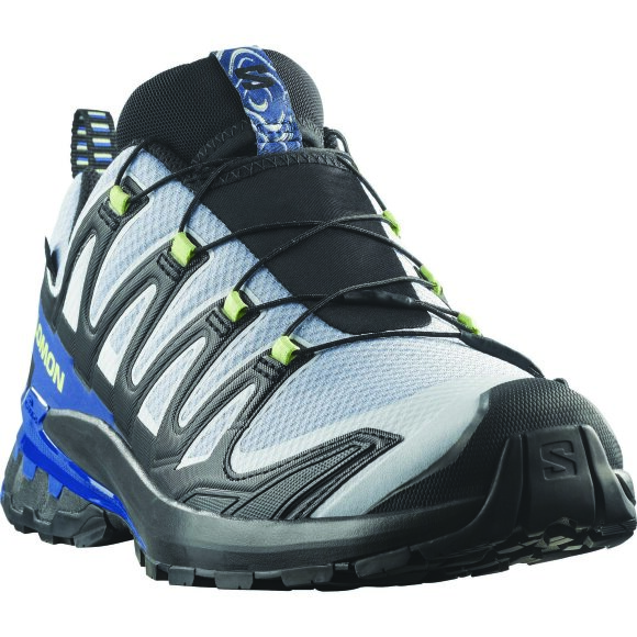Salomon XA Pro 3D V9 GTX Icon Black