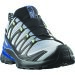 Salomon XA Pro 3D V9 GTX Icon Black