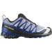 Salomon XA Pro 3D V9  Icon Black