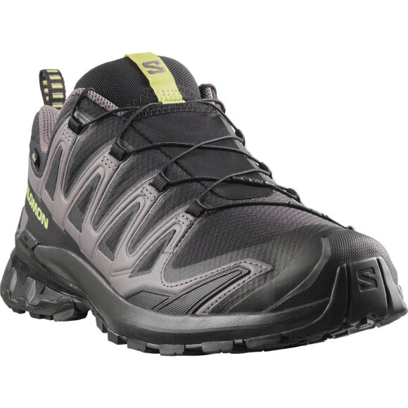 Salomon XA Pro 3D V9 GTX Black/Dark gull
