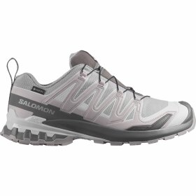 Salomon XA Pro 3D V9 GTX Alloy/Carstleroc