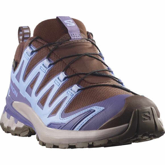 Salomon XA Pro 3D V9 GTX W Dark Earth